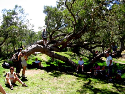 Randonn&eacute;e Mafate 2007