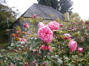 &agrave; B&eacute;louve