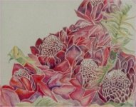 Ren&eacute;e BENOIST