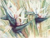 Ren&eacute;e BENOIST