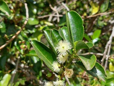 change &eacute;corce