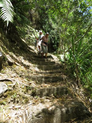 en descendant &agrave; bassin la noix