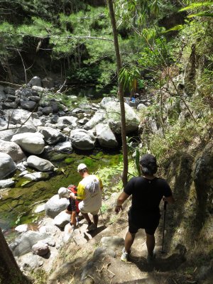 en descendant &agrave; bassin la noix